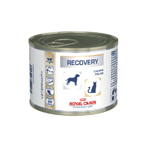 Kit Com 12 Latas Recovery Royal Canin Cães E Gatos