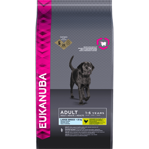 13488_019014229376-2