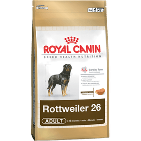 Rottweiler-Adult_packshot_site
