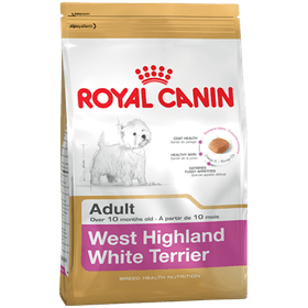 royal_canin_west_highland_white_terrier_adult-13825