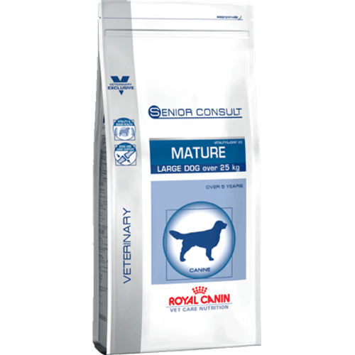 201301061708-mature_large_dog