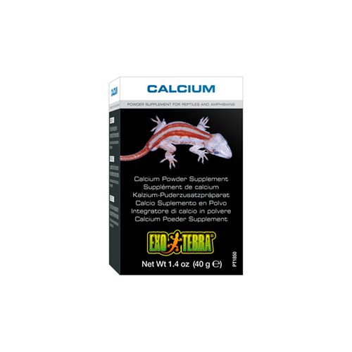 Exo-Terra-Calcium-40g