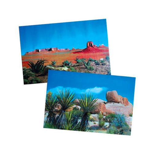 Trixie-Poster-para-Terrario