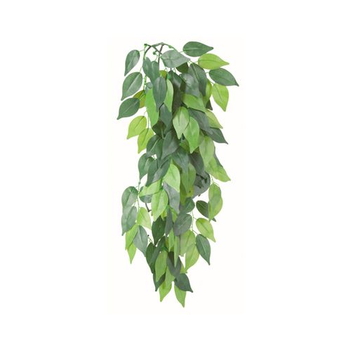 Trixie-Planta-para-Terrario