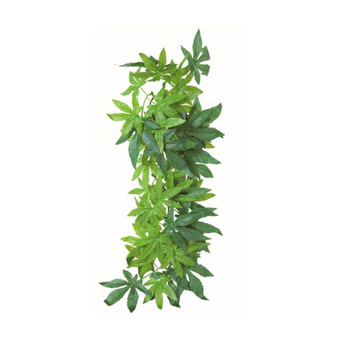 Trixie-Planta-para-Terrario---Abutilon