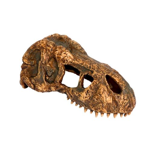 Exo-Terra-Refugios-Fosseis-T-Rex-Pequeno