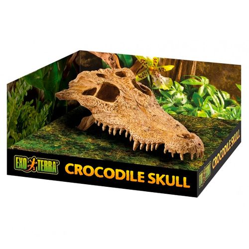 Exo-Terra-Refugios-Fosseis-Crocodilo