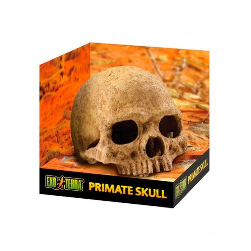 Exo-Terra-Refugios-Fosseis-Primata