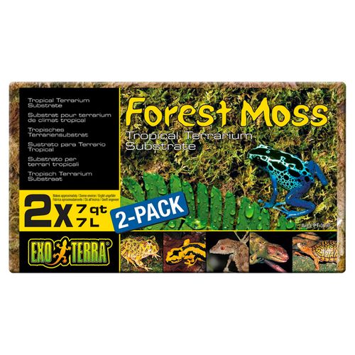 Exo-Terra-Forest-Moss