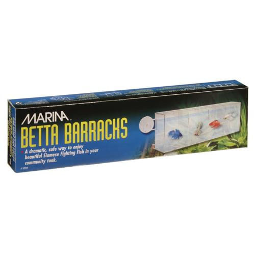 MARINA-Compartimentos-p--Bettas