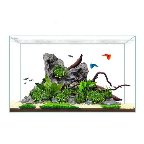 WaterBox-Clear-Mini-10