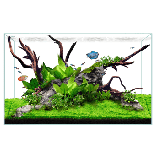 WaterBox-Clear-Mini-16