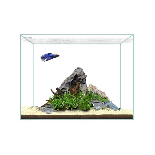 WaterBox-Clear-Mini-6