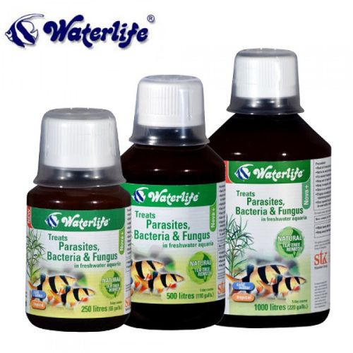 WATERLIFE-Nova--Tea-Tree-125ml