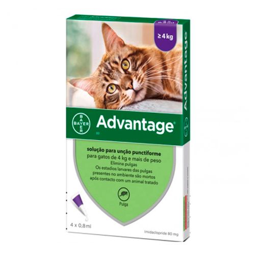 Advantage-80-gato