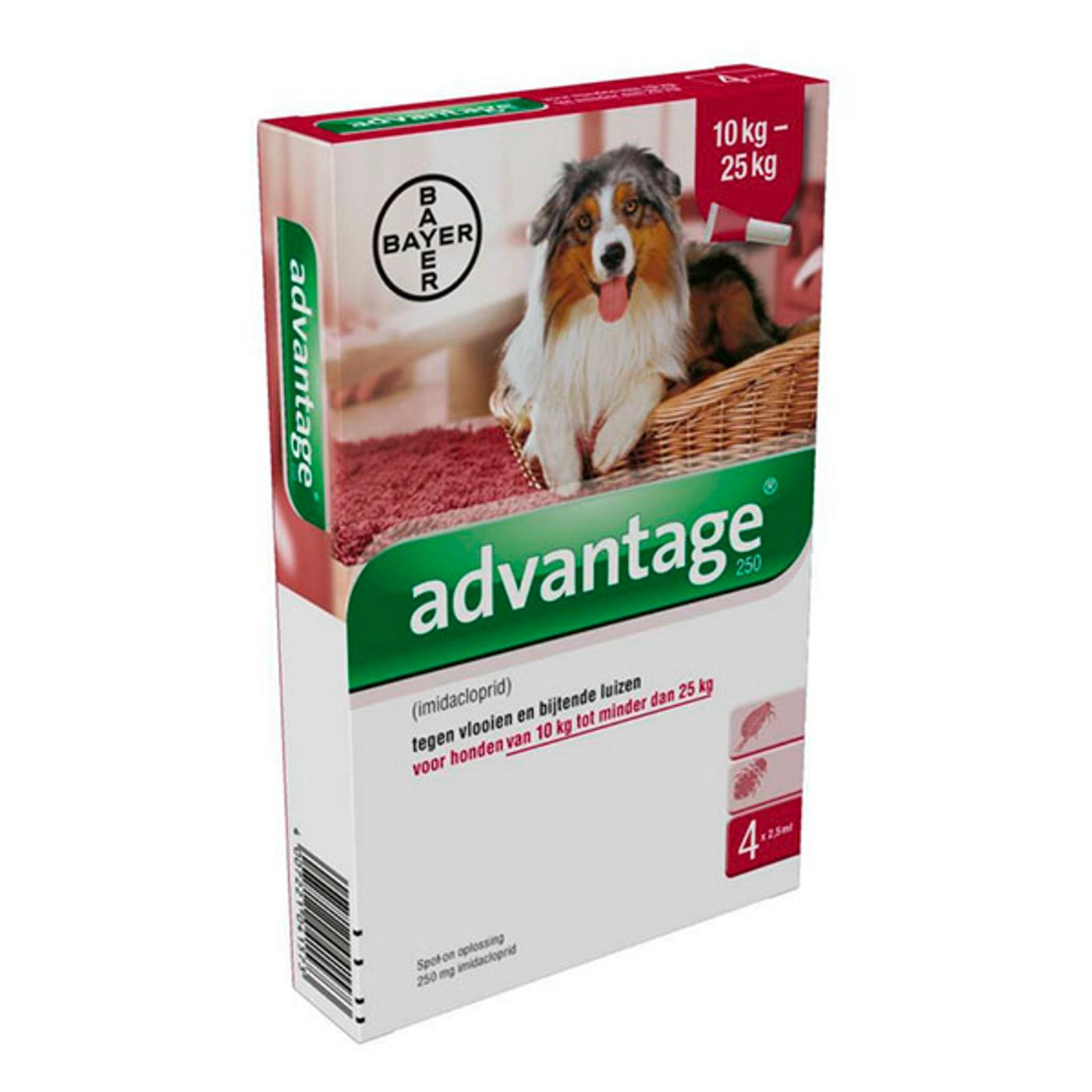 Advantage-250-cao
