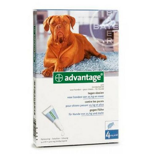 Advantage-400-cao