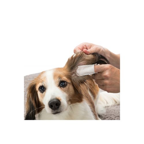 dedeiras-de-limpeza-de-orelhas--3-