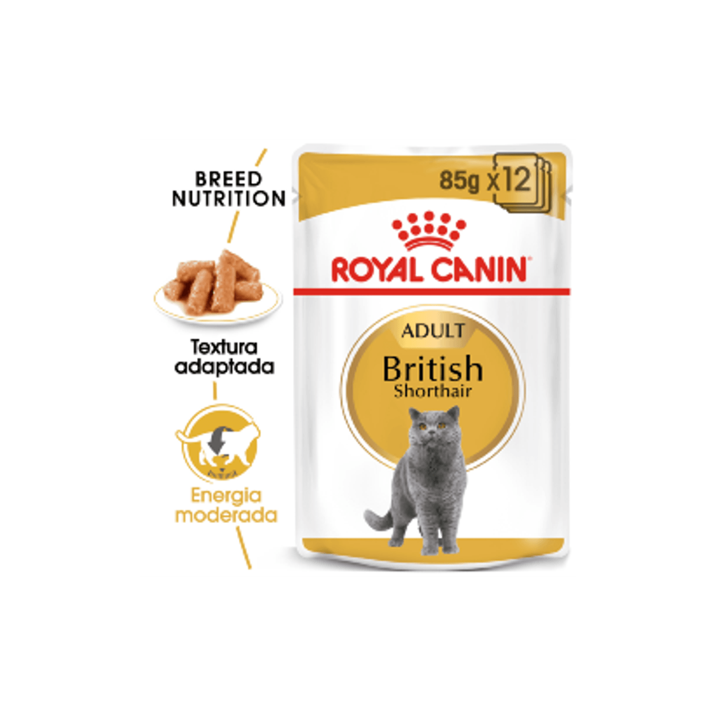 Royal_Canin_British_Shorthair_Adult_Wet_Saqueta