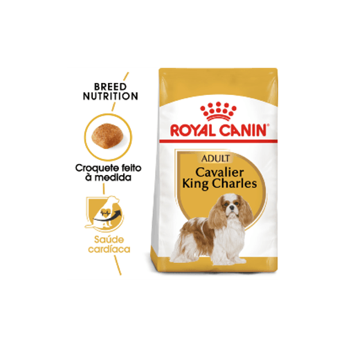 Royal_Canin_Cavalier_King_Charles_Adult